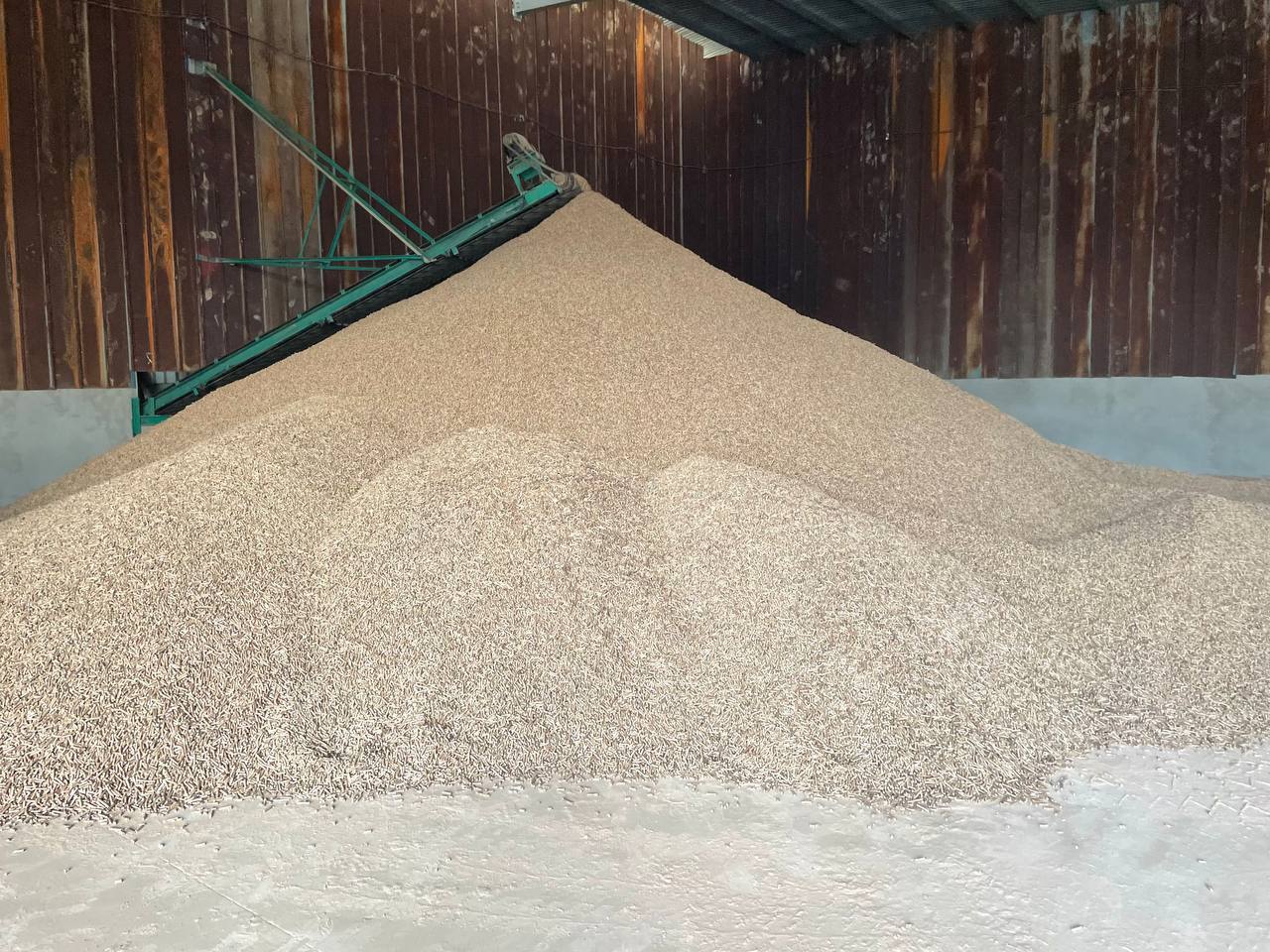 photo_1_2023-05-05_08-58-33